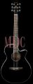 Ibanez Aeg8e Bk Semi Acoustic Guitar