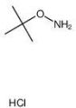 O Tert Butyl Hydroxylamine Hydrochloride