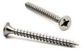 Flat Round stainless steel drywall screw