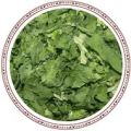 Spinach - Leaves