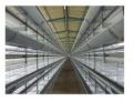 Layer battery Cage