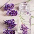 Liquid Amazing Enterprises lavender fragrance oil