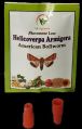 Helicoverpa Armigera Pheromone Lure &amp;amp; Funnel Trap