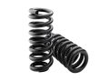 Iron Stainless Steel Copper Spring Steel & SS Coil Springs