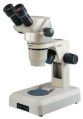 labomed microscope