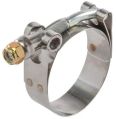 Silver Polished SS 304 Stainless Steel Hose Clamp