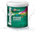 WEATHER CLASSIC paint