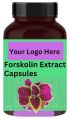 Forskolin Extract Capsules