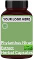 Phylanthus Niruri Extract Herbal Capsules
