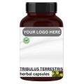 Tribulus Terrestris Extract Herbal Capsules
