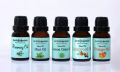Aroma Oil Combo Pack