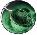 Green Spirulina Powder