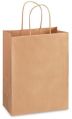 Shopping Paper Bags