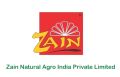 Liquid ZAIN NATURAL AGRO INDIA PVT LTD tomato puree