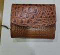 Polished Brown ladies leather purse