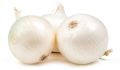 A Grade White Onion