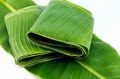 green original banana leaf
