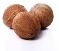 Organic Solid Brown Coconut