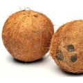 Solid natural semi husked coconut