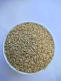 Organic Pale Yellow regular quinoa seeds