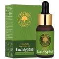 Old Tree Pale Yellow Eucalyptus Essential Oil