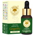 Gingerlily Essential Oil - Old Tree
