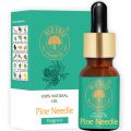 Old Tree Liquid pine needle essential oil