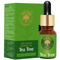 Tea-Tree Essential Oil- Old Tree