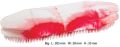 Big LDPE Rin Washing Brush