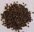 Seeds black pepper
