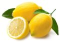 Natural Yellow fresh lemon