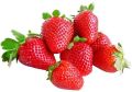 Natural Red fresh strawberry