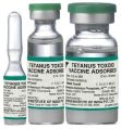 Tetanus Vaccine