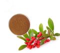 Barberry Extract