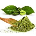 Green Powder coffee bean extract