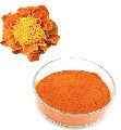 Orange Powder zeaxanthin extract