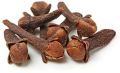 Brown Solid Whole Cloves