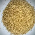 35% Layer Concentrate Feed