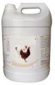 Poultry Antibiotic Medicine