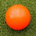 Plastic Cricket Ball