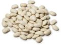 Dried Lima Beans