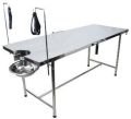 Stainless Steel Delivery Table