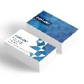 Plastic Paper Rectangular Available in Different Colors business card