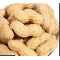 Intact Indian Peanut kernels