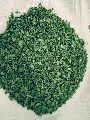 Organic Common Light Green SVM EXPORTS moringa tea bags