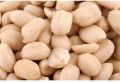 35/40 Blanched Whole Peanuts