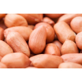 Bulk Bold Peanuts, Packaging Size: 5-50 kg
