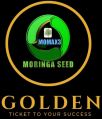 Momax3 Moringa Perennial Seed