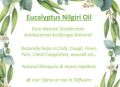 Eucalyptus oil (nilgiri oil)