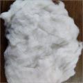 White Recycled Polyester Fiber